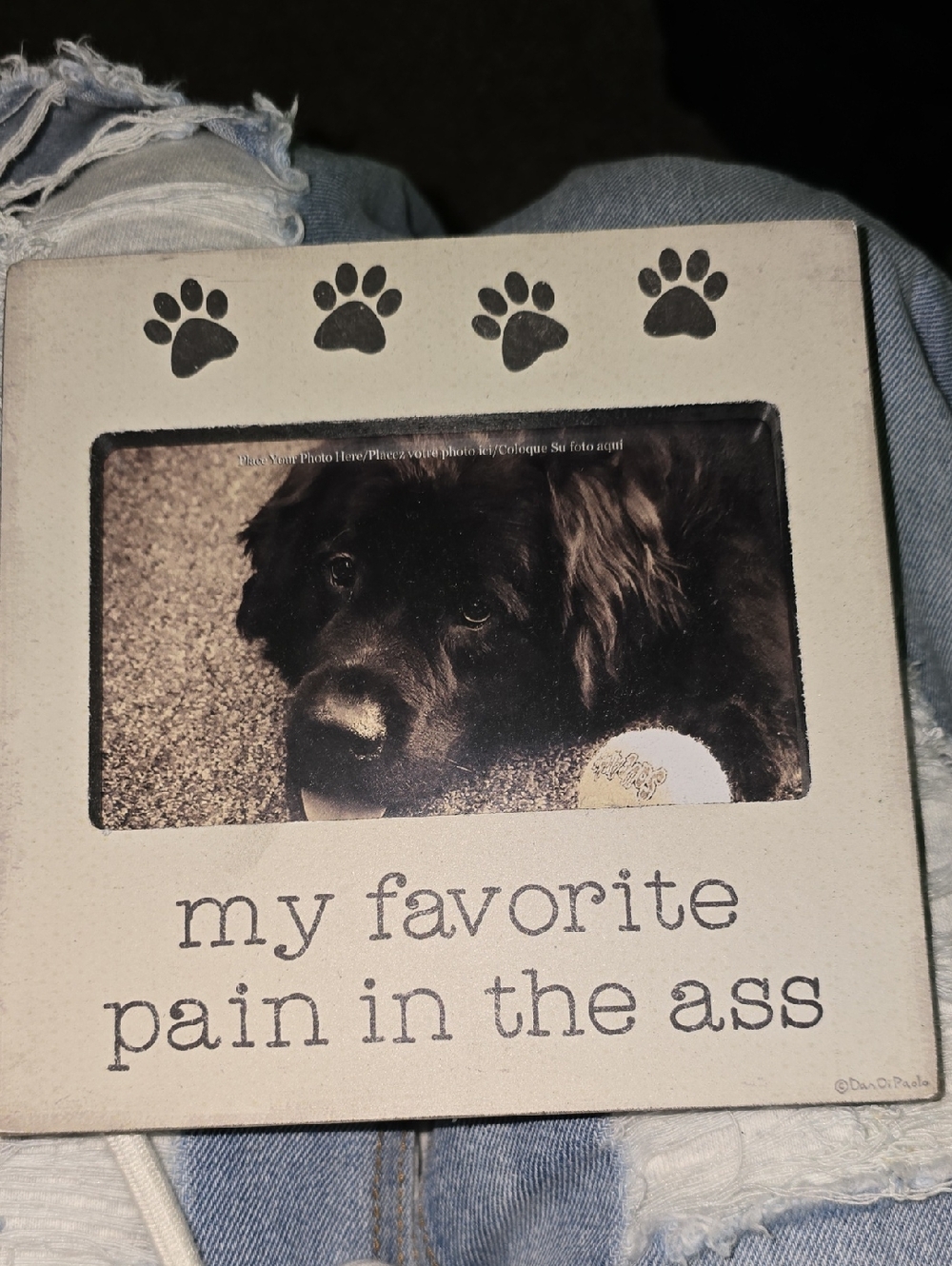 NWT Primitives by Kathy Cream Dog Photo Frame with Paw Accents